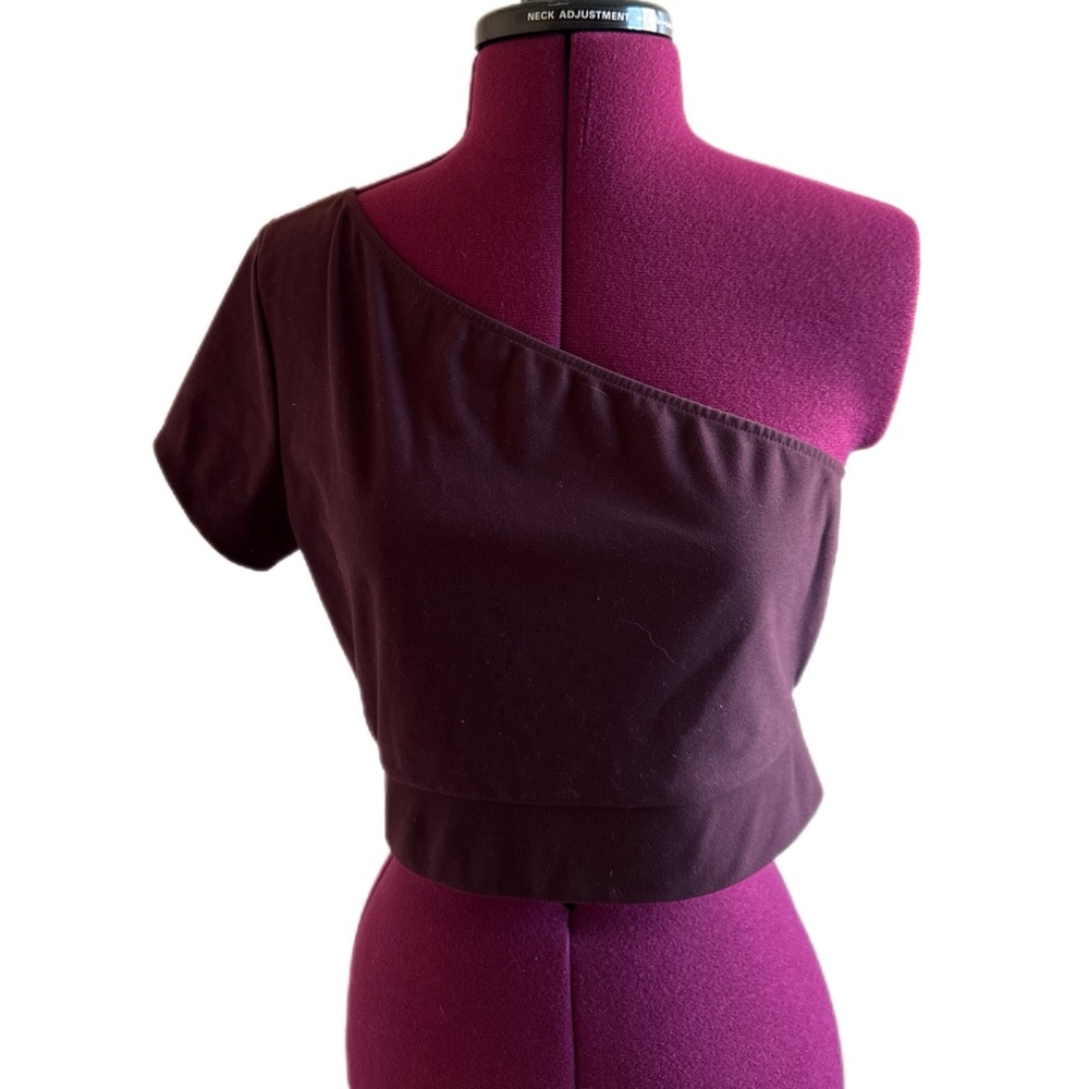 One-Shoulder Sports Cropped  Top in Plum Size M